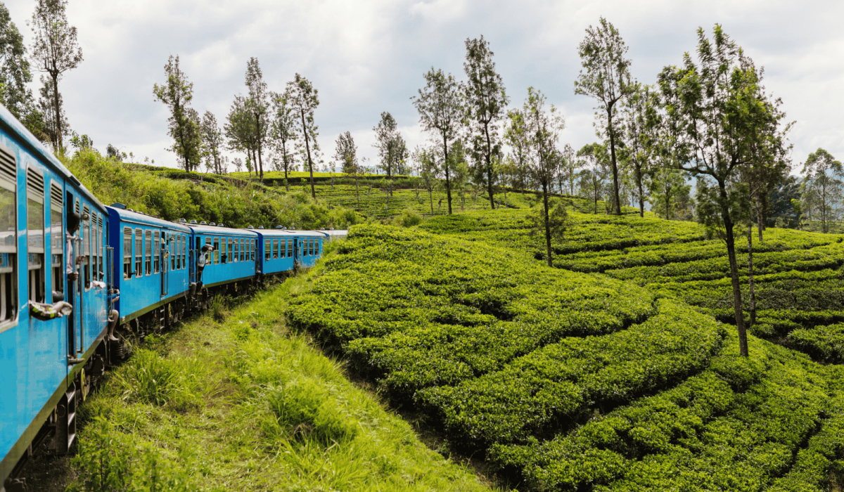 Untitled-1600-x-1080-px-22